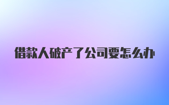 借款人破产了公司要怎么办