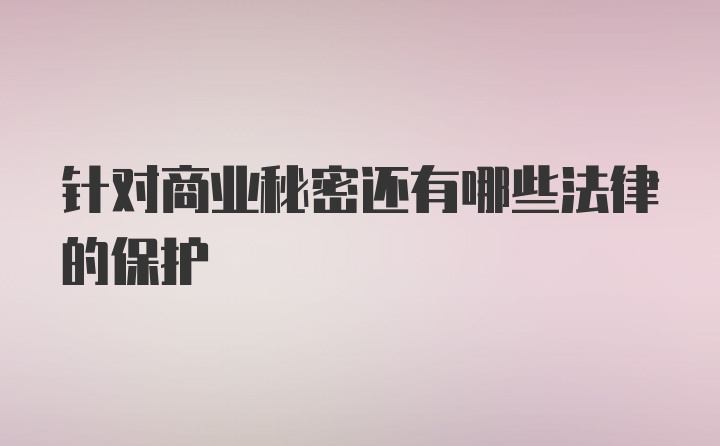 针对商业秘密还有哪些法律的保护