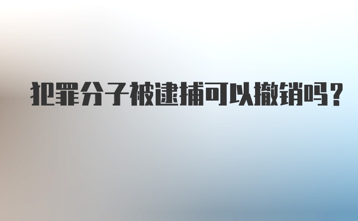 犯罪分子被逮捕可以撤销吗？