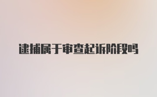 逮捕属于审查起诉阶段吗