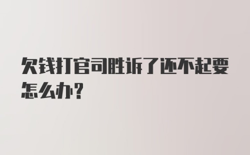 欠钱打官司胜诉了还不起要怎么办？