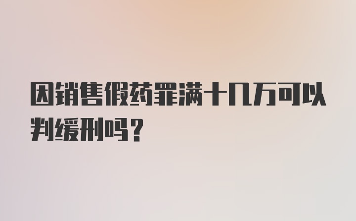 因销售假药罪满十几万可以判缓刑吗?