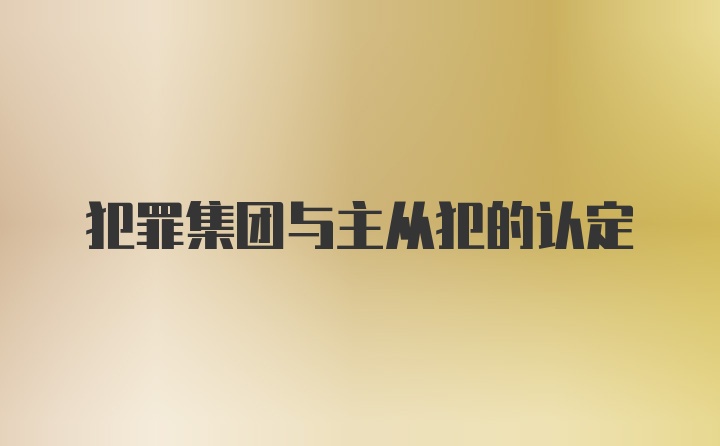 犯罪集团与主从犯的认定