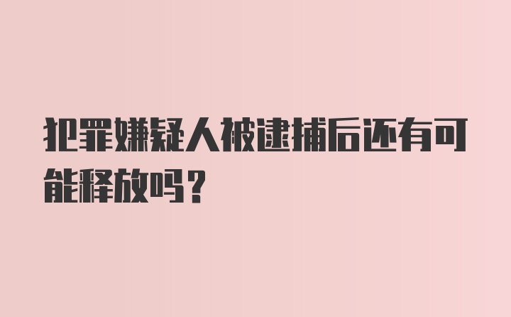 犯罪嫌疑人被逮捕后还有可能释放吗?