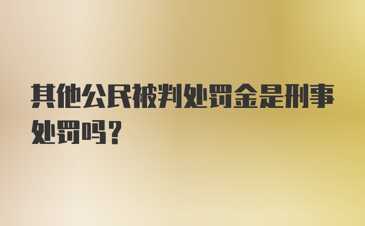 其他公民被判处罚金是刑事处罚吗？