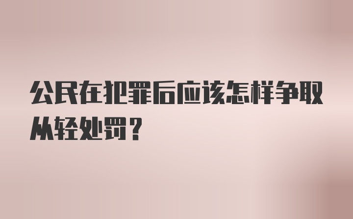 公民在犯罪后应该怎样争取从轻处罚？