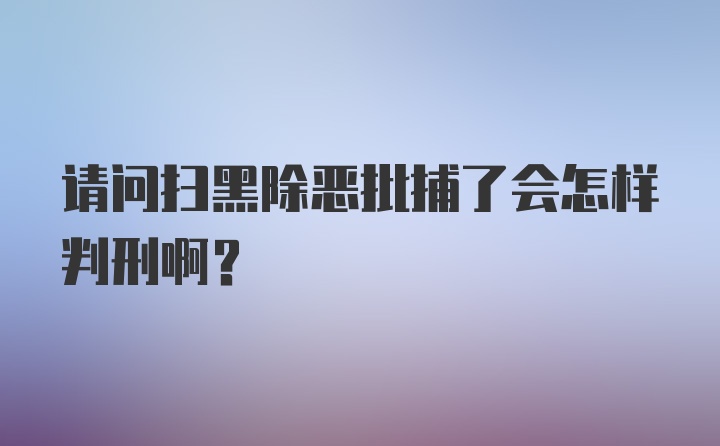 请问扫黑除恶批捕了会怎样判刑啊？