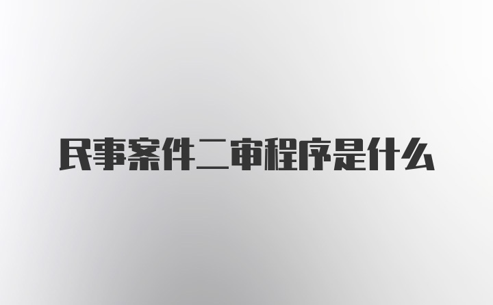 民事案件二审程序是什么