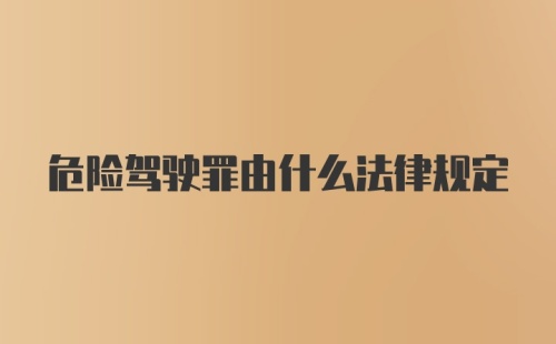 危险驾驶罪由什么法律规定