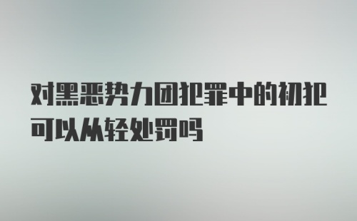 对黑恶势力团犯罪中的初犯可以从轻处罚吗