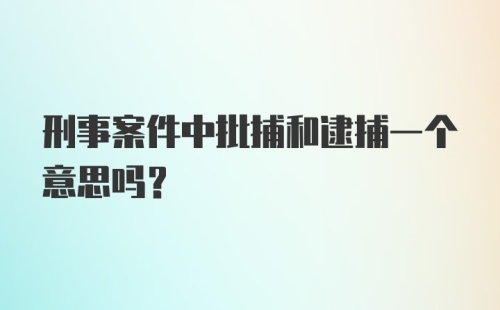 刑事案件中批捕和逮捕一个意思吗？