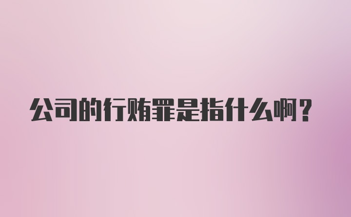 公司的行贿罪是指什么啊？