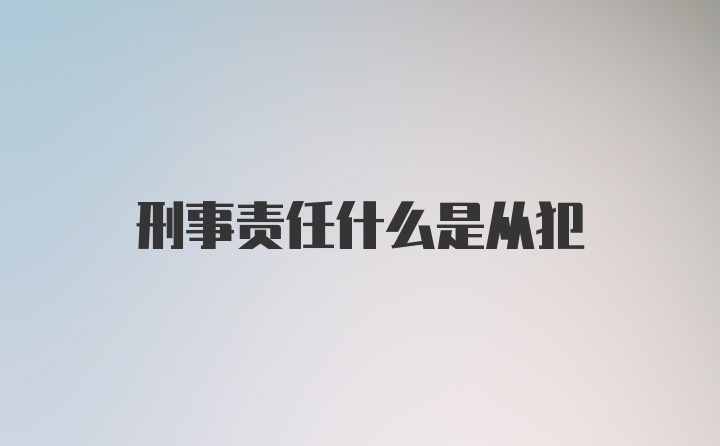 刑事责任什么是从犯