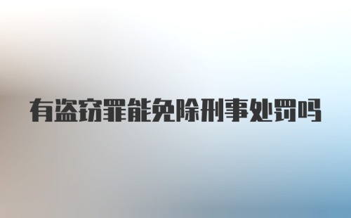 有盗窃罪能免除刑事处罚吗