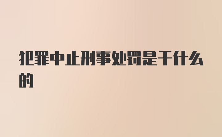 犯罪中止刑事处罚是干什么的