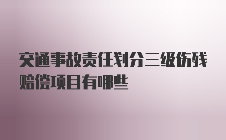 交通事故责任划分三级伤残赔偿项目有哪些