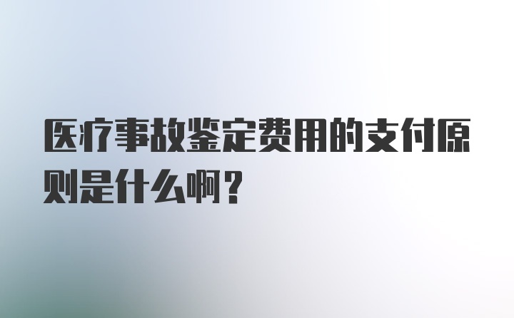 医疗事故鉴定费用的支付原则是什么啊?