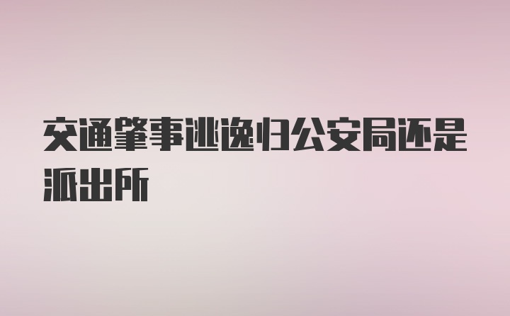 交通肇事逃逸归公安局还是派出所