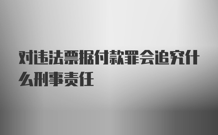 对违法票据付款罪会追究什么刑事责任