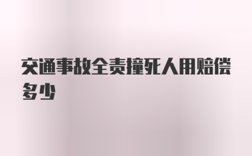 交通事故全责撞死人用赔偿多少