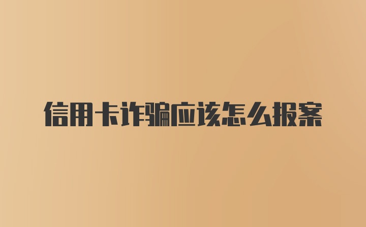 信用卡诈骗应该怎么报案