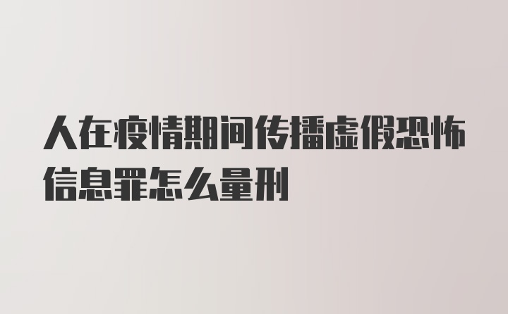 人在疫情期间传播虚假恐怖信息罪怎么量刑