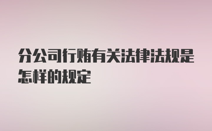 分公司行贿有关法律法规是怎样的规定