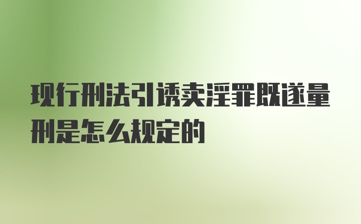 现行刑法引诱卖淫罪既遂量刑是怎么规定的