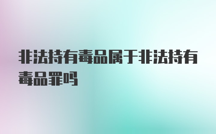 非法持有毒品属于非法持有毒品罪吗