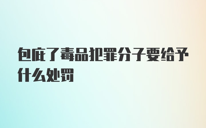 包庇了毒品犯罪分子要给予什么处罚