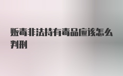 贩毒非法持有毒品应该怎么判刑