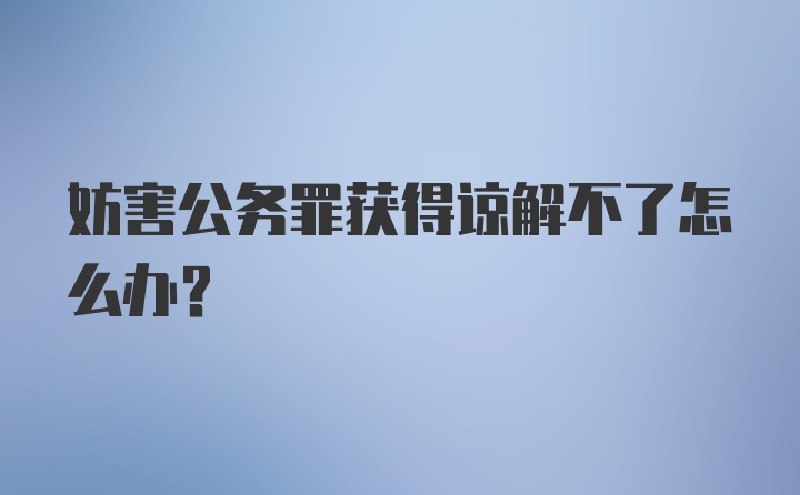 妨害公务罪获得谅解不了怎么办?