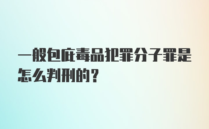 一般包庇毒品犯罪分子罪是怎么判刑的?