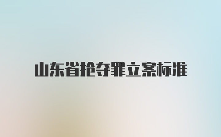 山东省抢夺罪立案标准