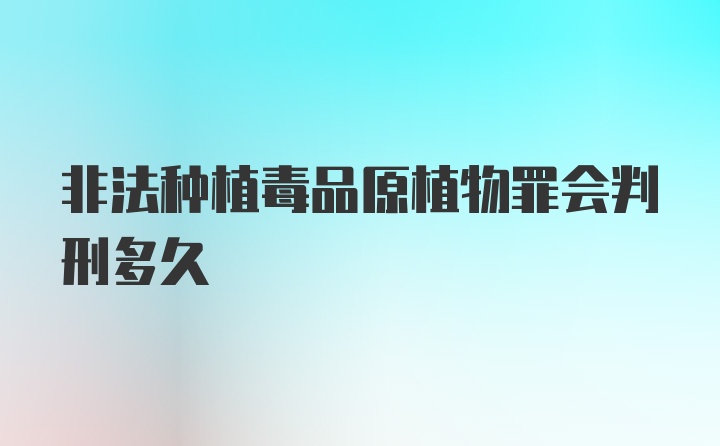 非法种植毒品原植物罪会判刑多久