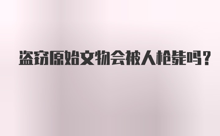 盗窃原始文物会被人枪毙吗？