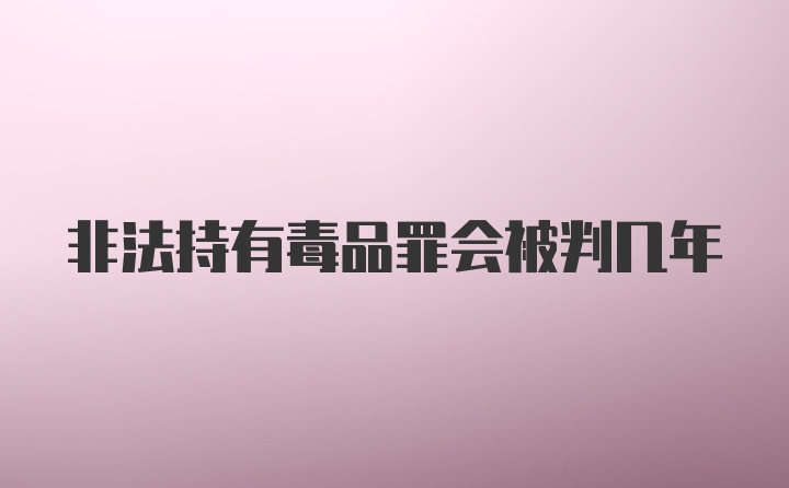 非法持有毒品罪会被判几年