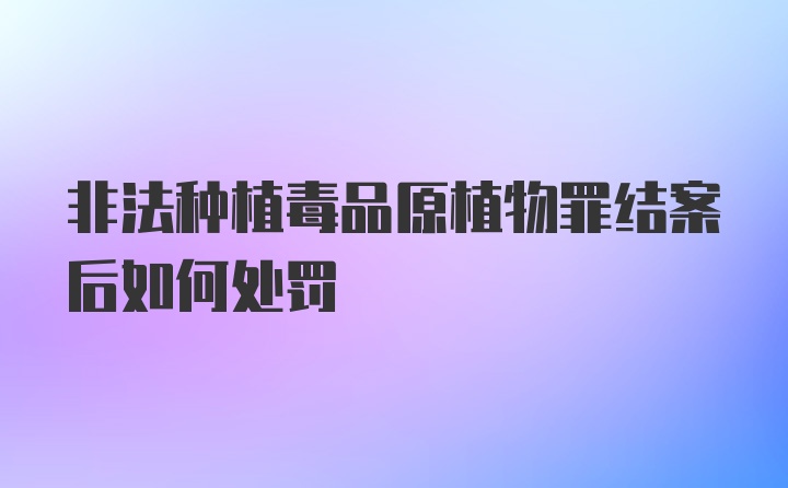 非法种植毒品原植物罪结案后如何处罚