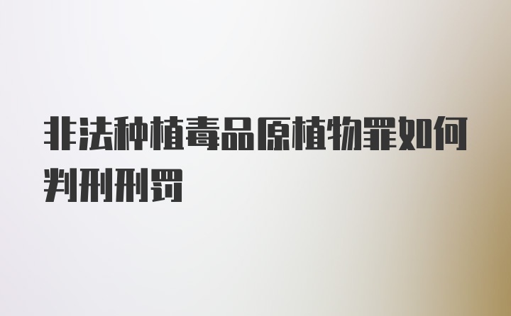 非法种植毒品原植物罪如何判刑刑罚