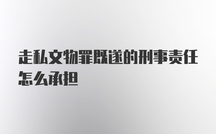 走私文物罪既遂的刑事责任怎么承担