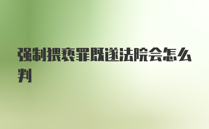 强制猥亵罪既遂法院会怎么判