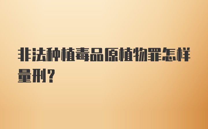 非法种植毒品原植物罪怎样量刑？