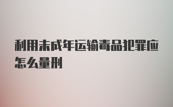 利用未成年运输毒品犯罪应怎么量刑