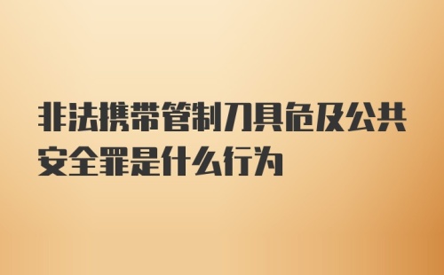 非法携带管制刀具危及公共安全罪是什么行为