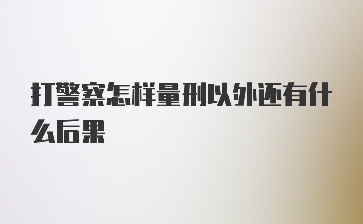 打警察怎样量刑以外还有什么后果