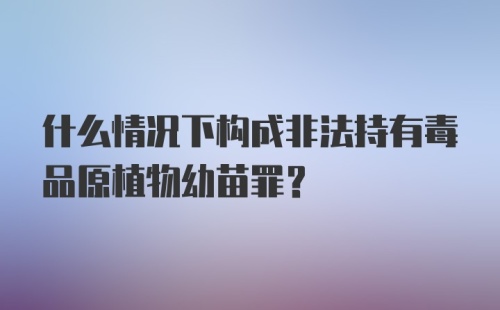 什么情况下构成非法持有毒品原植物幼苗罪？