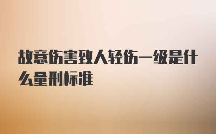 故意伤害致人轻伤一级是什么量刑标准