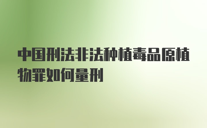 中国刑法非法种植毒品原植物罪如何量刑