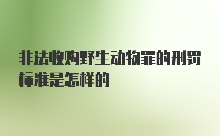 非法收购野生动物罪的刑罚标准是怎样的