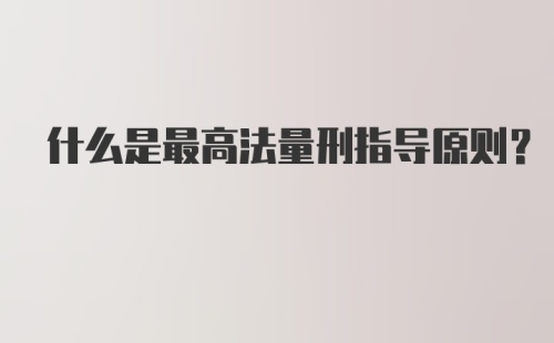 什么是最高法量刑指导原则？